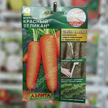 Красный великан морковь на ленте