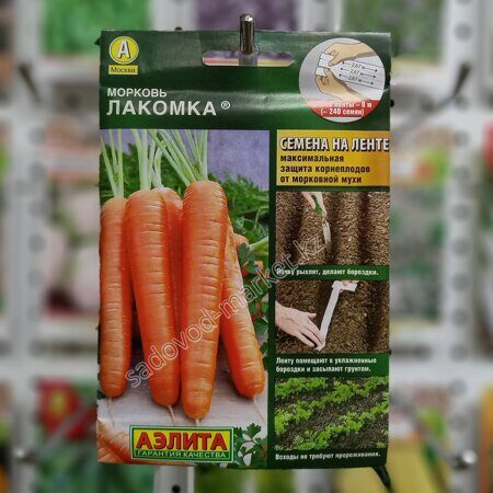 Лакомка морковь на ленте