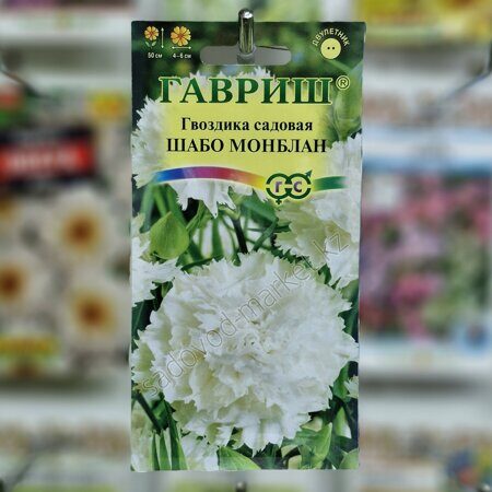 Гвоздика шабо монблан