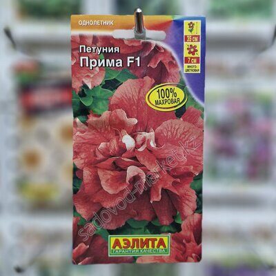 Прима аэлита петуния