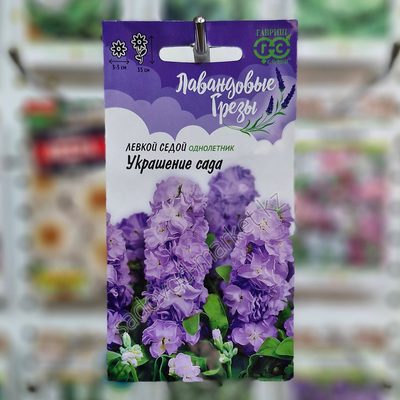Левкой украшение сада
