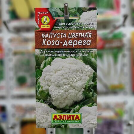 Цветная коза-дереза капуста