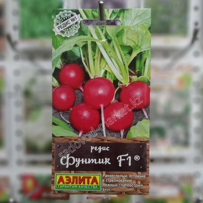 Фунтик редис