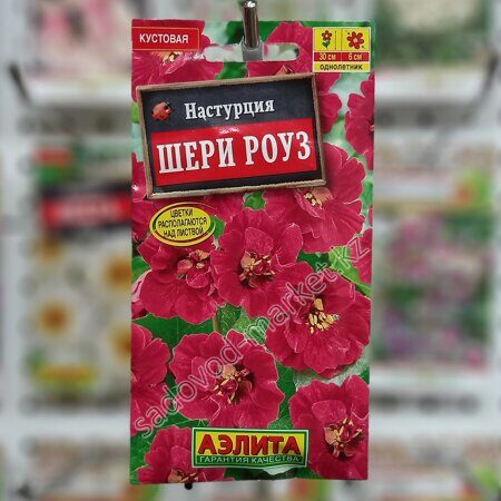 Настурция шери роуз