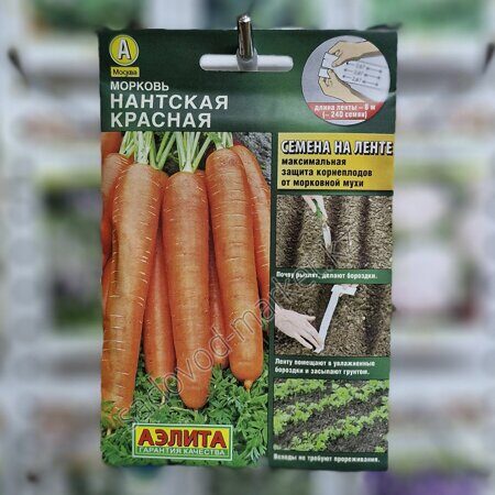 Нантская красная морковь на ленте