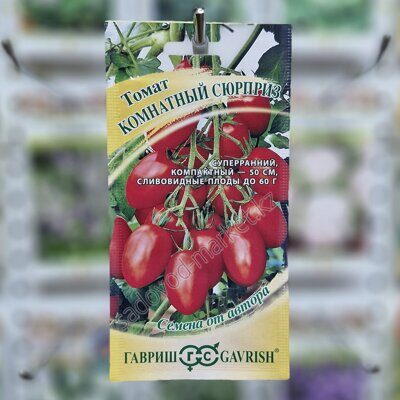 Комнатный сюрприз томат