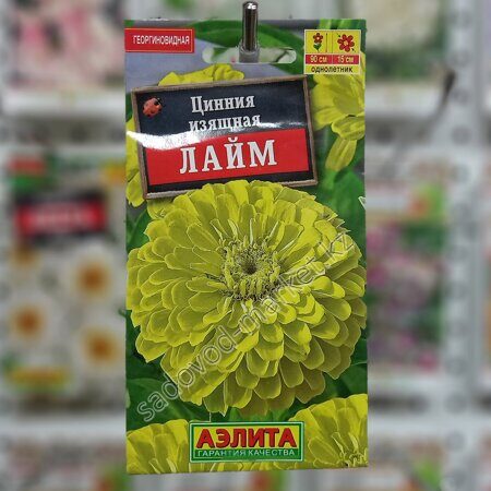 Цинния лайм